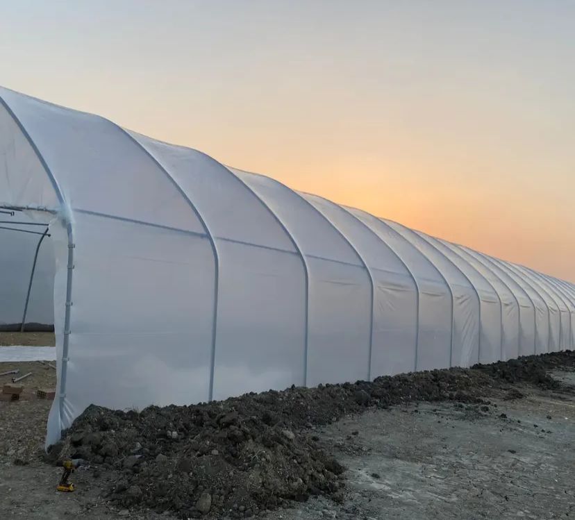 Zyn Tingöz Seracılık